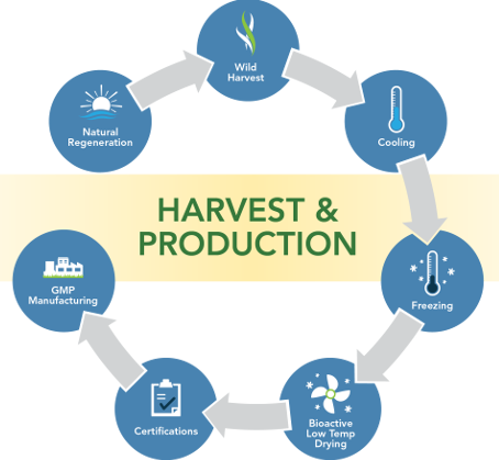 Harvesting process diagram